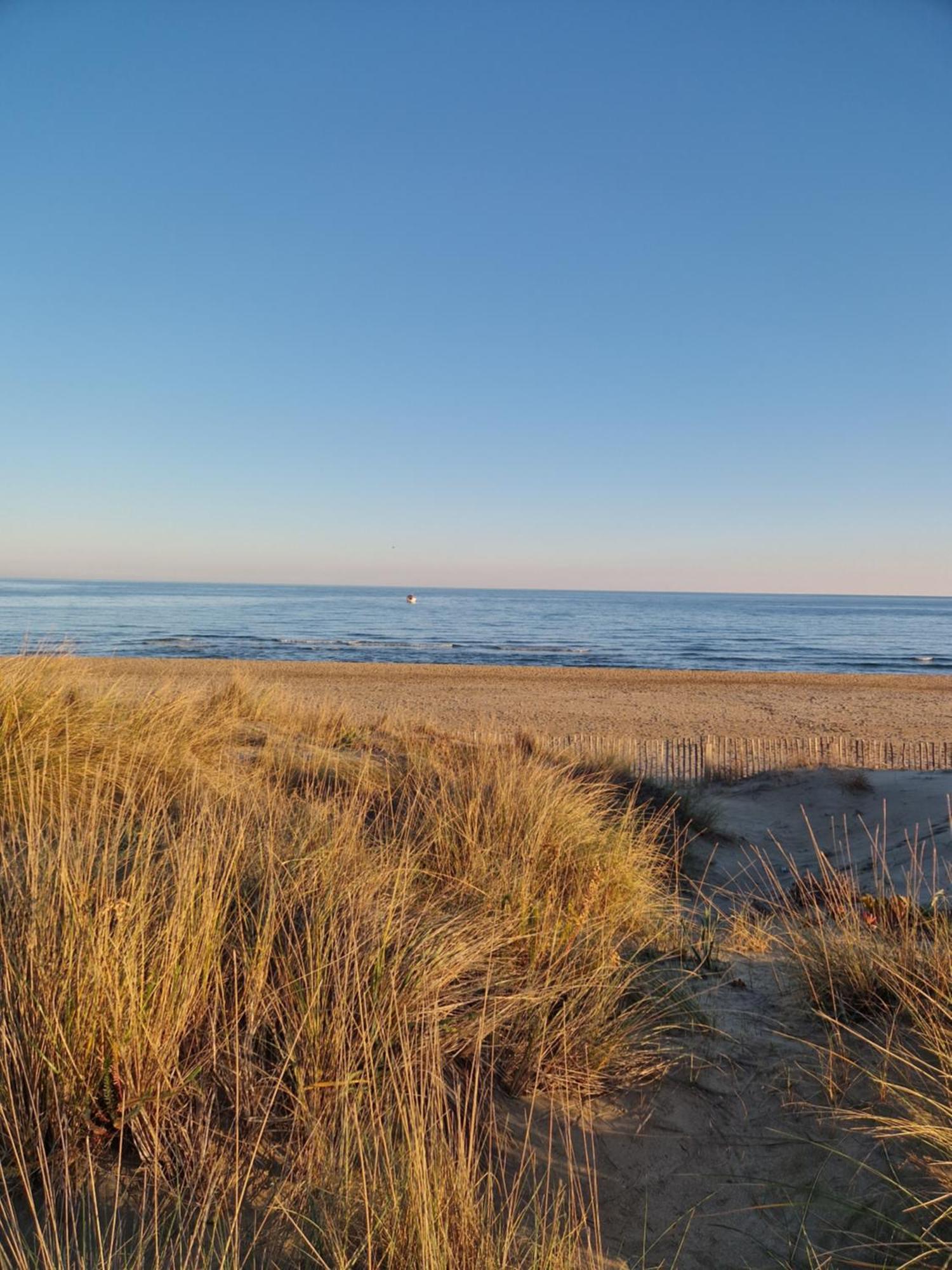 Village Naturiste Sensuel Agde