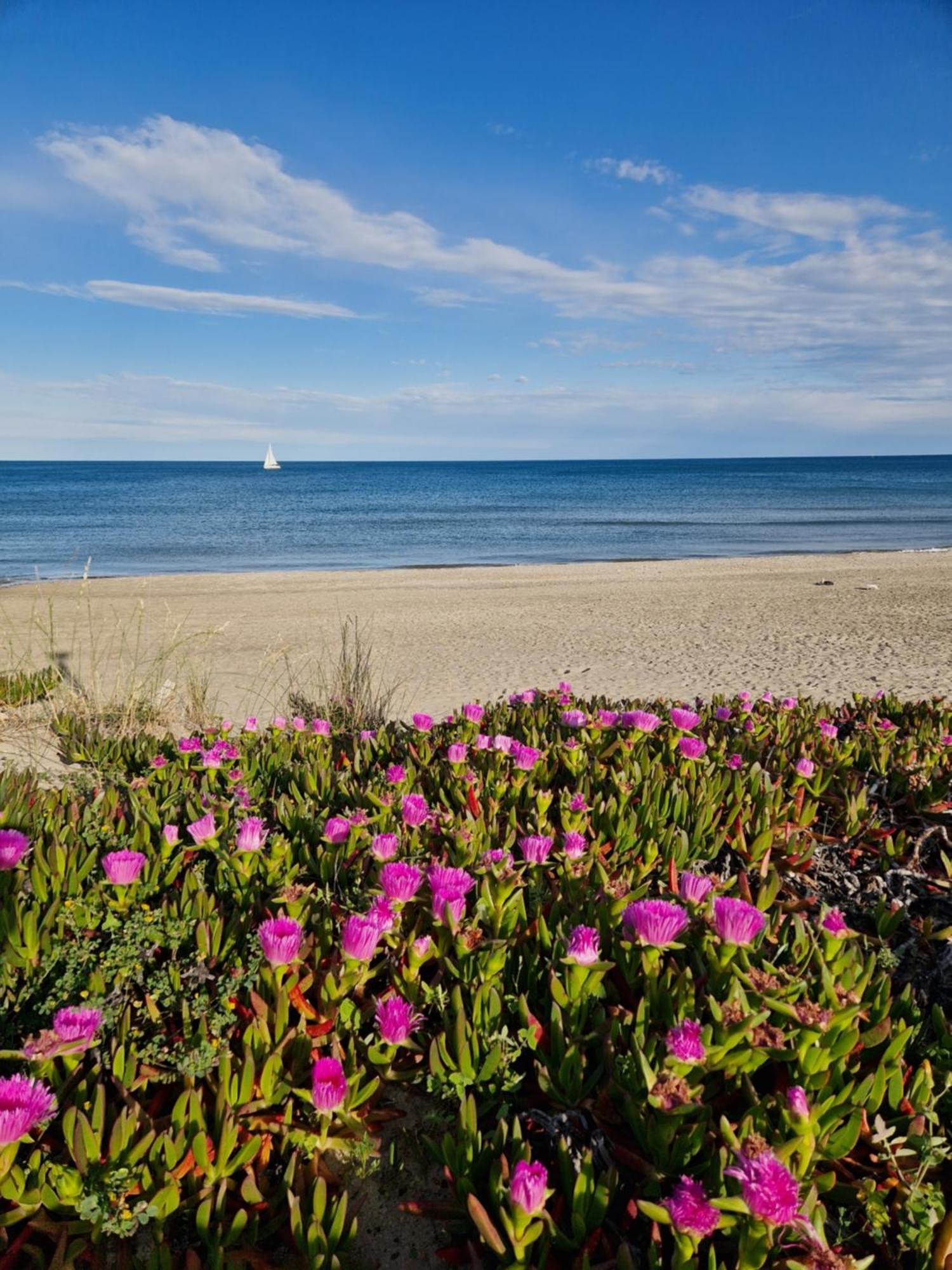 Village Naturiste Sensuel * Agde